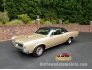 1966 Pontiac GTO for sale 101752729