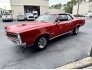 1966 Pontiac GTO for sale 101843864