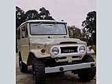1966 Toyota Land Cruiser for sale 101930021