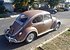 1966 Volkswagen Beetle for sale 101247845