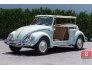 1966 Volkswagen Beetle for sale 101567734