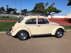 1966 Volkswagen Beetle Coupe for sale 101662632