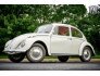 1966 Volkswagen Beetle for sale 101687108