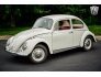 1966 Volkswagen Beetle for sale 101687108