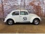 1966 Volkswagen Beetle for sale 101786967