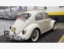 1966 Volkswagen Beetle for sale 101806871