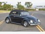 1966 Volkswagen Beetle for sale 101844797