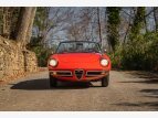 Thumbnail Photo 2 for 1967 Alfa Romeo Duetto