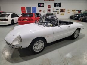 1967 Alfa Romeo Duetto for sale 101765501