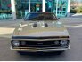 1967 Chevrolet Camaro for sale 101840975