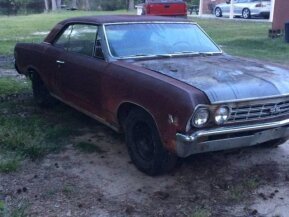 1967 Chevrolet Chevelle SS for sale 101584887