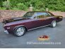 1967 Chevrolet Chevelle SS for sale 101774628