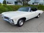 1967 Chevrolet Impala SS for sale 101620703