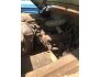 1967 Dodge Power Wagon for sale 101753135