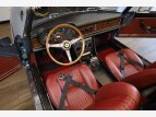 Thumbnail Photo 62 for New 1967 Ferrari 330