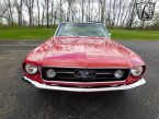 Thumbnail Photo 4 for 1967 Ford Mustang