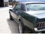 1967 Ford Mustang 390 S-Code for sale 101570311