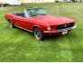 1967 Ford Mustang for sale 101729595