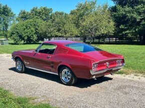 1967 Ford Mustang Fastback for sale 101775514