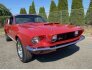 1967 Ford Mustang for sale 101778504