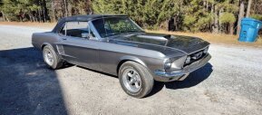 1967 Ford Mustang for sale 101842048