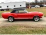 1967 Ford Mustang for sale 101843358