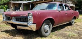 1967 Pontiac Tempest for sale 101923135