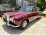 1967 Rolls-Royce Silver Shadow for sale 101800286
