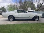 Thumbnail Photo 2 for 1967 Shelby GT500 for Sale by Owner
