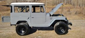 1967 Toyota Land Cruiser for sale 101999571