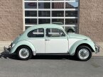 Thumbnail Photo 1 for 1967 Volkswagen Beetle