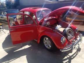 1967 Volkswagen Beetle for sale 101585042