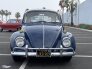 1967 Volkswagen Beetle for sale 101658295