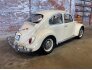1967 Volkswagen Beetle for sale 101772615