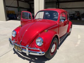 1967 Volkswagen Beetle for sale 101756931