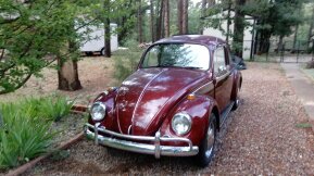 1967 Volkswagen Beetle Coupe for sale 101929196