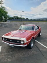 1968 Chevrolet Camaro SS Coupe for sale 101918392