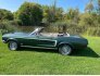 1968 Ford Mustang GT for sale 101789343