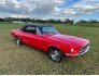 1968 Ford Mustang Convertible for sale 101815210