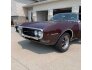 1968 Pontiac Firebird for sale 101585025