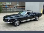 Thumbnail Photo 2 for 1968 Shelby GT350