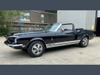 Thumbnail Photo 4 for 1968 Shelby GT350