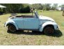 1968 Volkswagen Beetle for sale 101573620