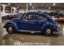1968 Volkswagen Beetle for sale 101601440