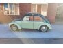 1968 Volkswagen Beetle for sale 101646356