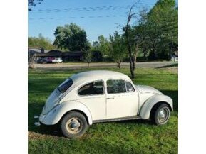 1968 Volkswagen Beetle for sale 101662169