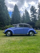1968 Volkswagen Beetle Convertible for sale 101802810