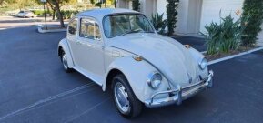 1968 Volkswagen Beetle for sale 101900279