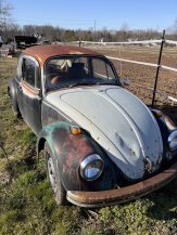 1968 Volkswagen Beetle Coupe for sale 102002994