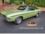 1969 Chevrolet Chevelle SS for sale 101609071